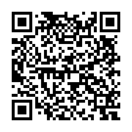 QR code for ICQN12