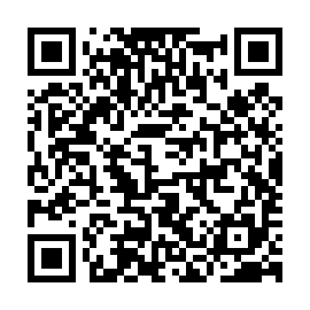 QR code for ICRT95