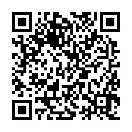 QR code for ICV386