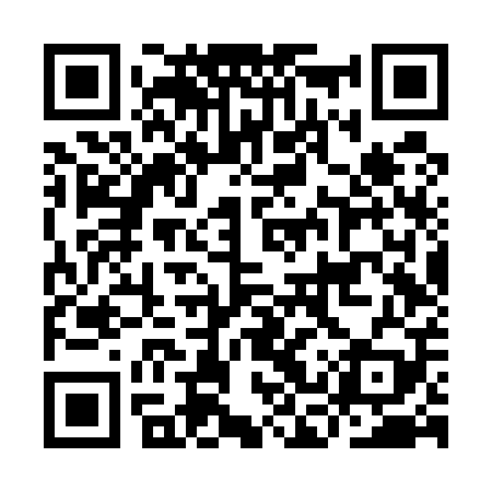 QR code for ICVU09