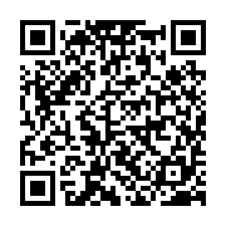 QR code for ICY295