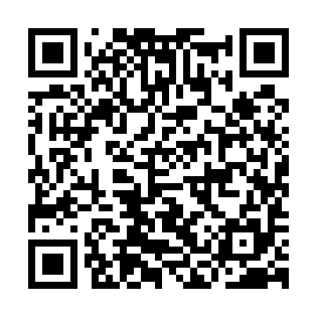 QR code for ICY595