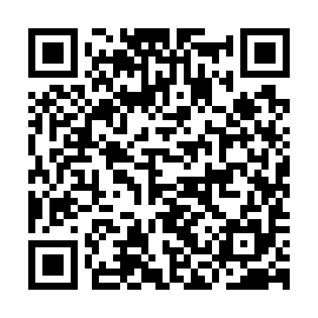 QR code for ICY795