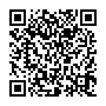 QR code for ICZ919