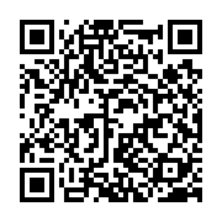 QR code for IDDG29
