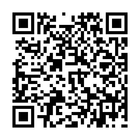 QR code for IDE339
