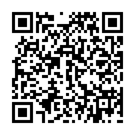 QR code for IDI393