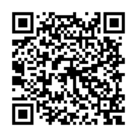 QR code for IDI591