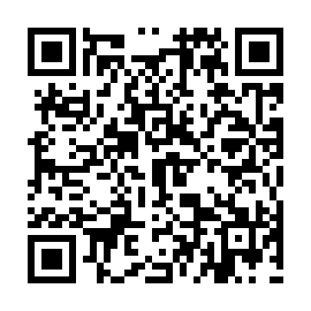 QR code for IDM991