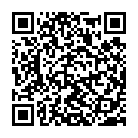 QR code for IDPV18