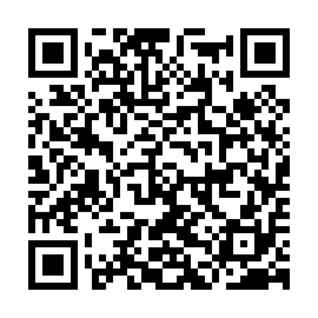 QR code for IDS010