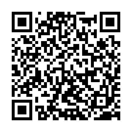 QR code for IDS393