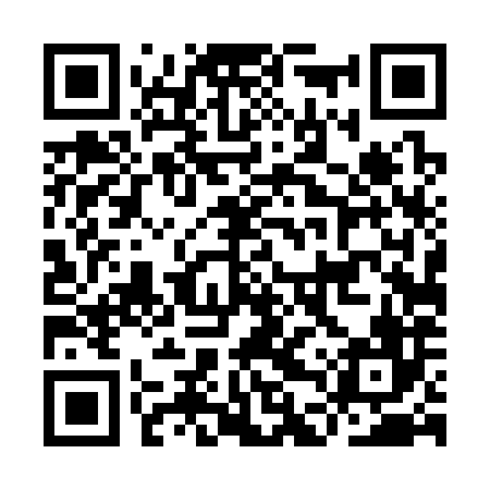 QR code for IDT386