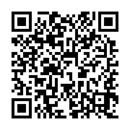 QR code for IDYS93