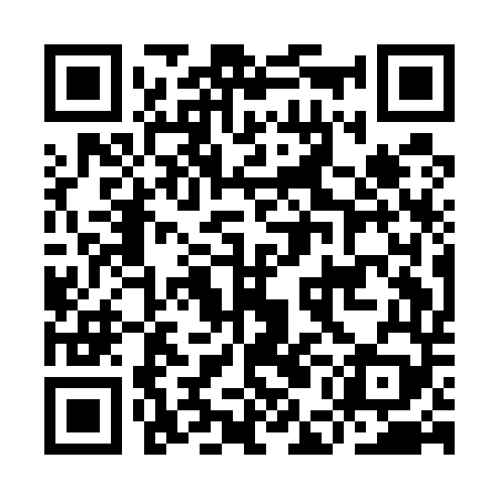 QR code for IEAE49
