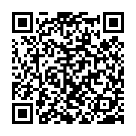 QR code for IEE489