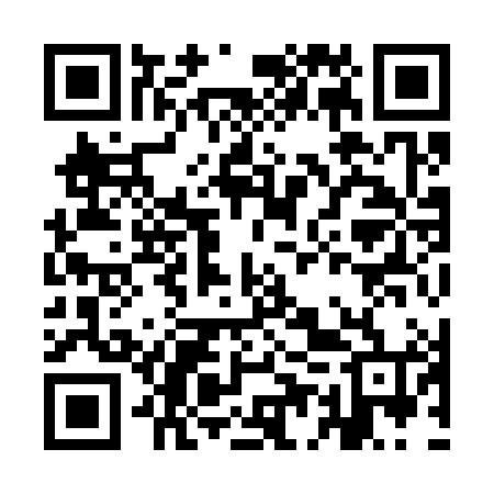 QR code for IEY384