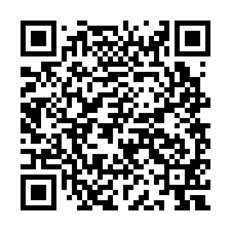 QR code for IFR391