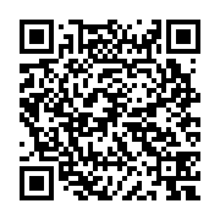 QR code for IFRC38