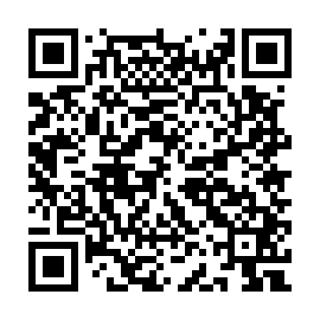 QR code for IFU541