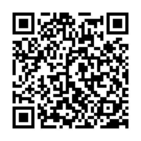 QR code for IGCO29