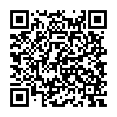 QR code for IGD541