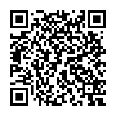 QR code for IHOG29