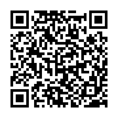 QR code for IIA392