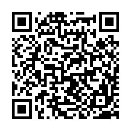 QR code for IIB296