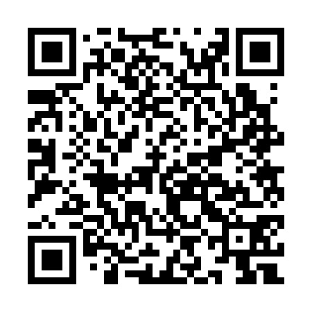 QR code for IIB370