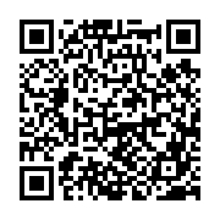QR code for IID666