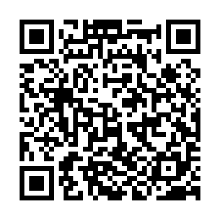 QR code for IIDA95