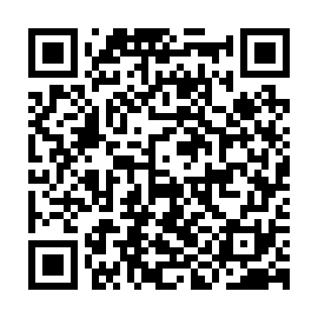 QR code for IIG271