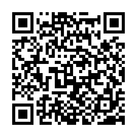 QR code for IINO12