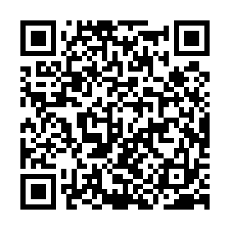 QR code for IIPU33