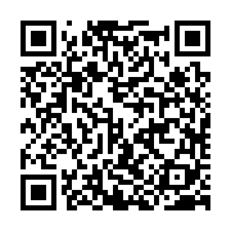 QR code for IIR369