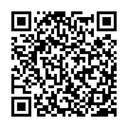 QR code for IIR551