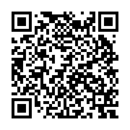 QR code for IIS215