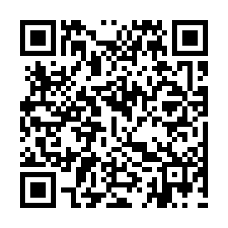 QR code for IIV102