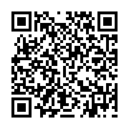 QR code for IIYY31