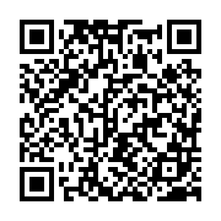 QR code for IIZ202