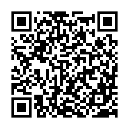 QR code for IIZ386