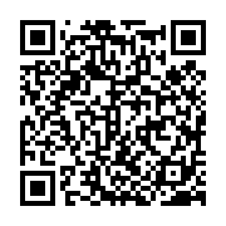 QR code for IIZ411