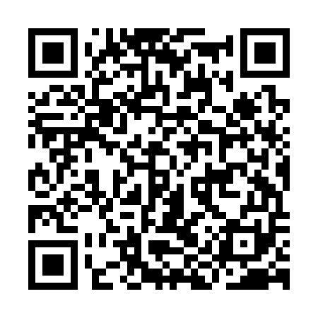 QR code for IIZC51