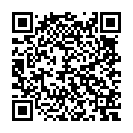 QR code for IIZL00