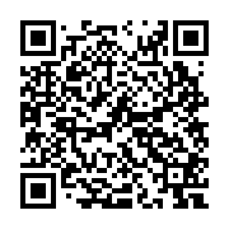 QR code for IJB300