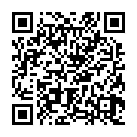 QR code for IJC228