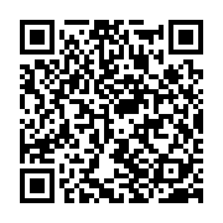 QR code for IJCS29