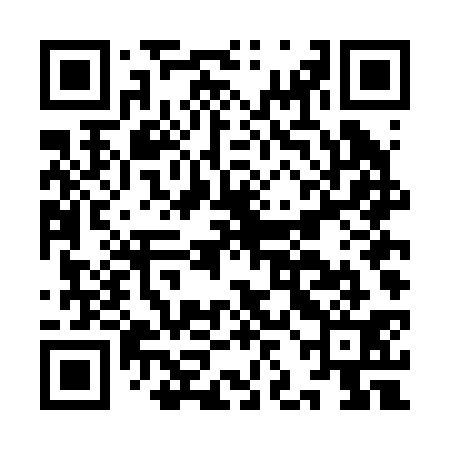 QR code for IJDB31