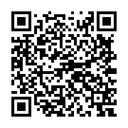 QR code for IJEX61
